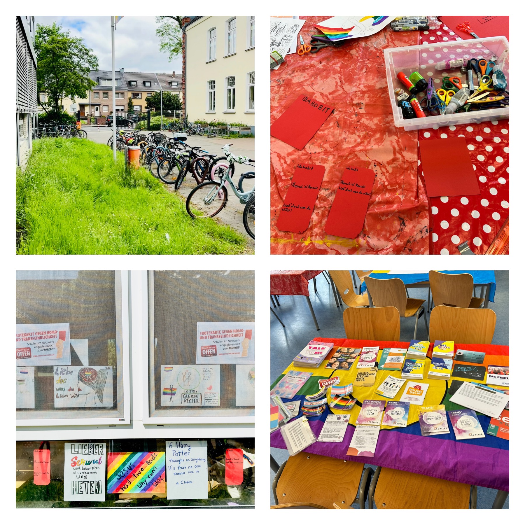 Bilder der Woche